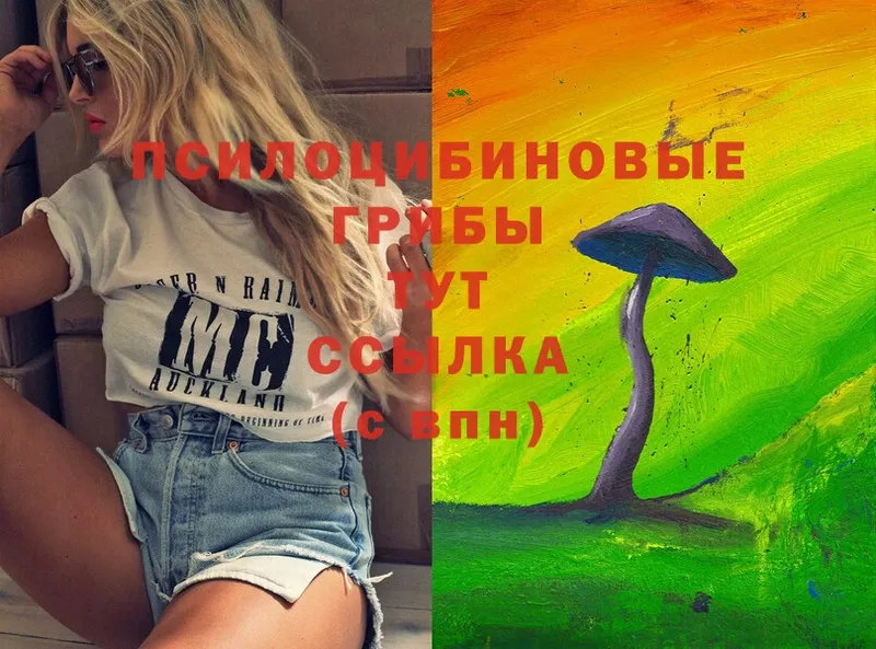 Псилоцибиновые грибы Psilocybine cubensis  Инта 